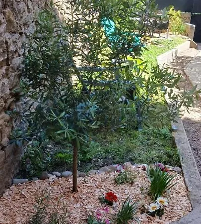 Le 9 De Cour, Caouette 카르카손