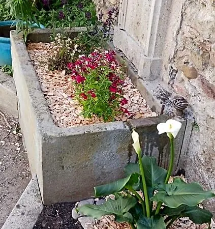 Le 9 De Cour, Caouette Carcassonne