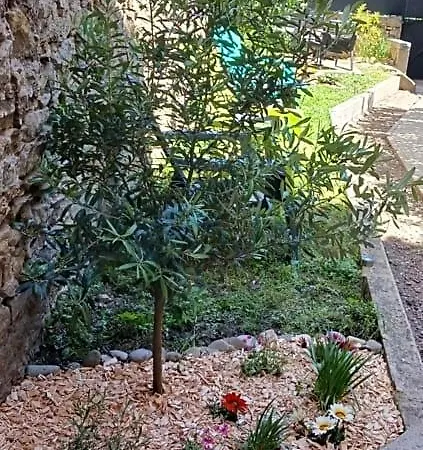 Le 9 De Cour, Caouette Bed & Breakfast 3*