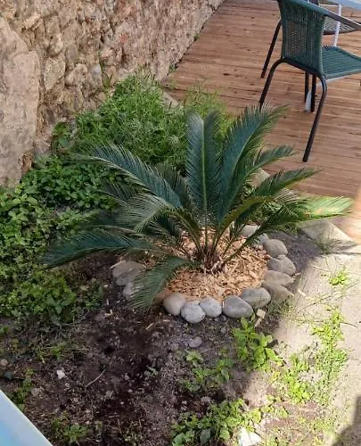 Le 9 De Cour, Caouette Carcassonne